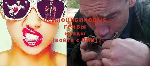 стаф Карпинск