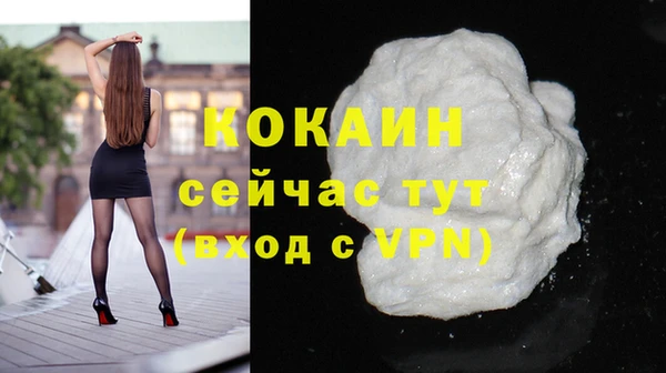 стаф Карпинск