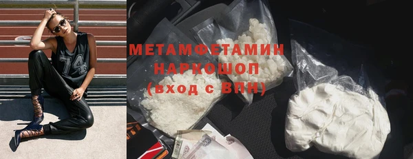 прущие грибы Каменногорск