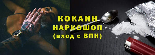 прущие грибы Каменногорск