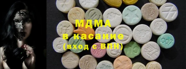 прущие грибы Каменногорск