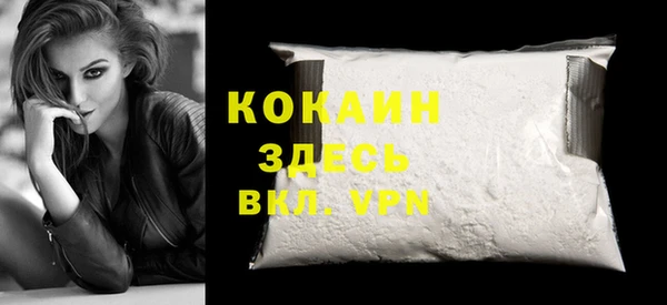 прущие грибы Каменногорск