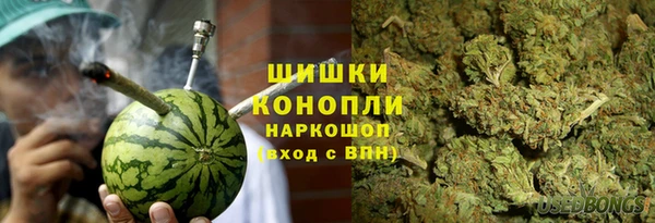прущие грибы Каменногорск