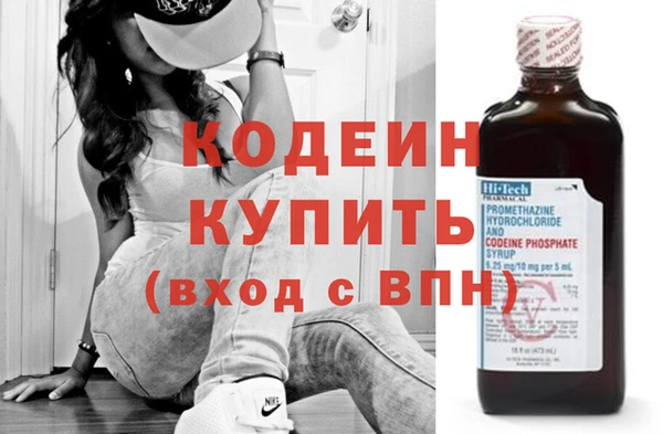 прущие грибы Каменногорск