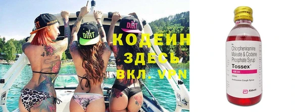 прущие грибы Каменногорск